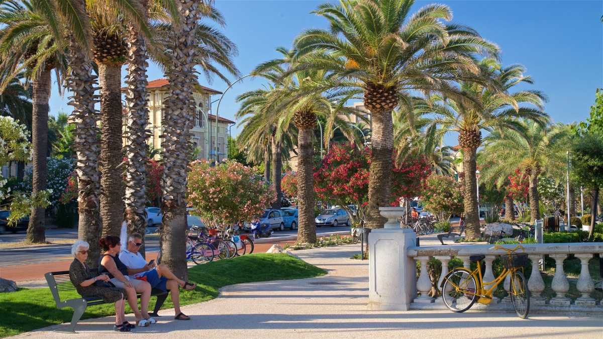 Guida all'arrivo a San Benedetto del Tronto: la tua porta verso la Riviera delle Palme