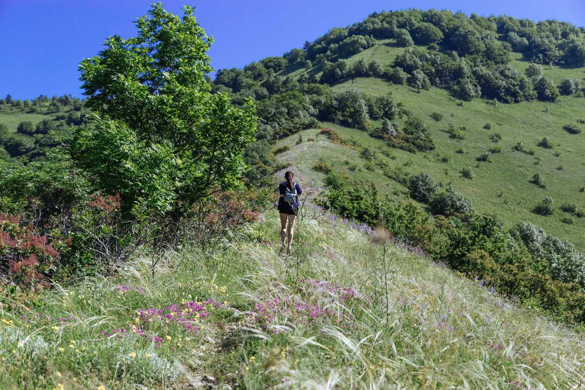 Panorama di Sirolo con il mare e la vegetazione circostante