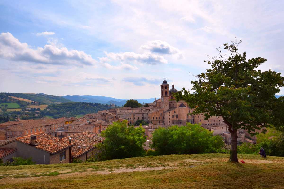 Paesaggio collinare attorno a Urbino, evidenziando il Palazzo Ducale e la natura circostante